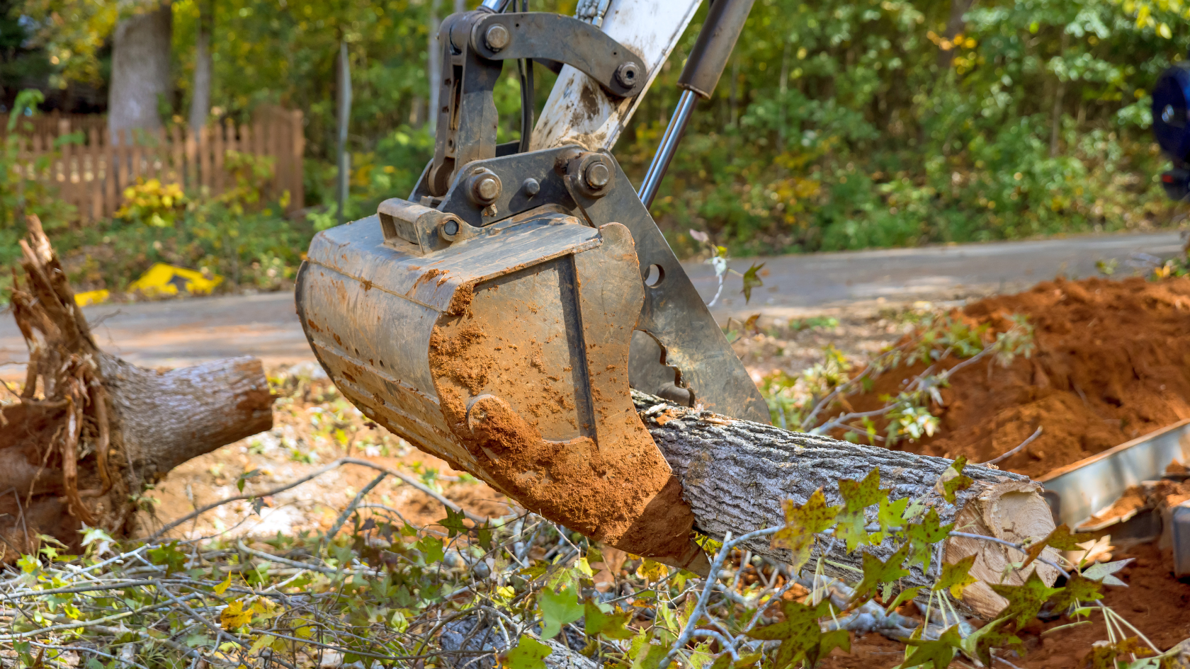 A man is using a chainsaw to cut a tree