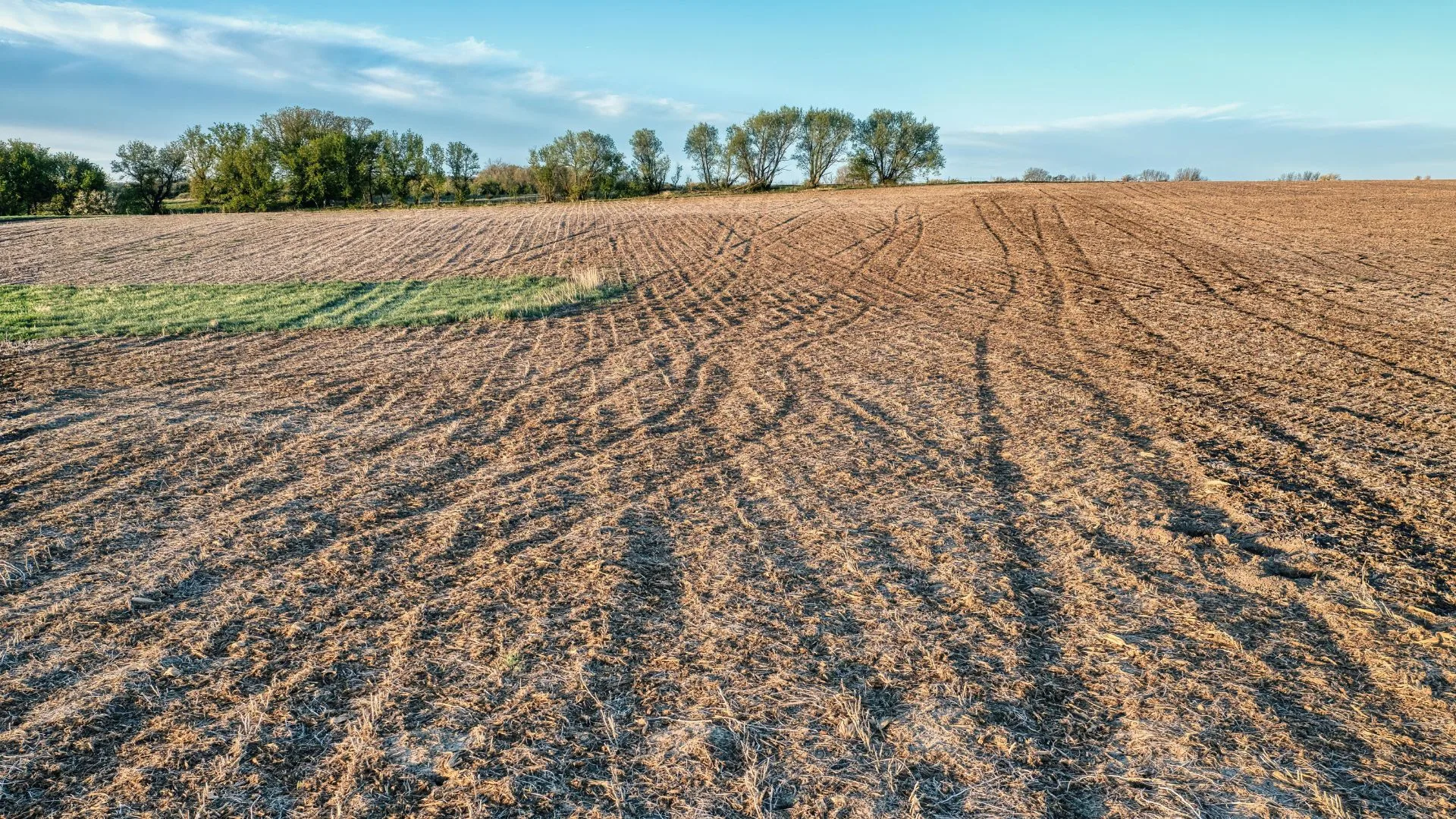 Wide, freshly cleared field ready for grading and site work